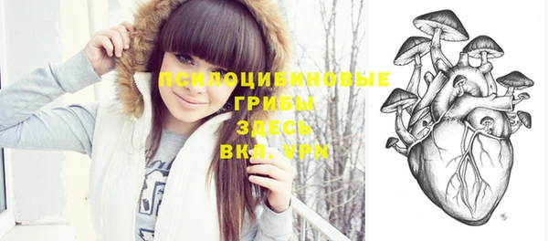 стафф Абинск