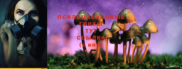 круглые Абаза
