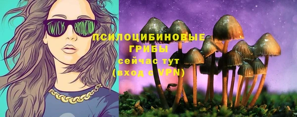 круглые Абаза