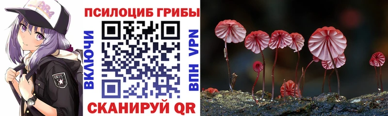 Галлюциногенные грибы Cubensis  Янаул 