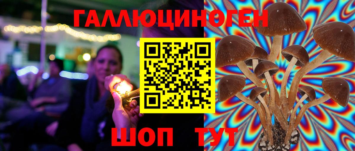 Псилоцибиновые грибы Psilocybe  Вход с VPN  Янаул 
