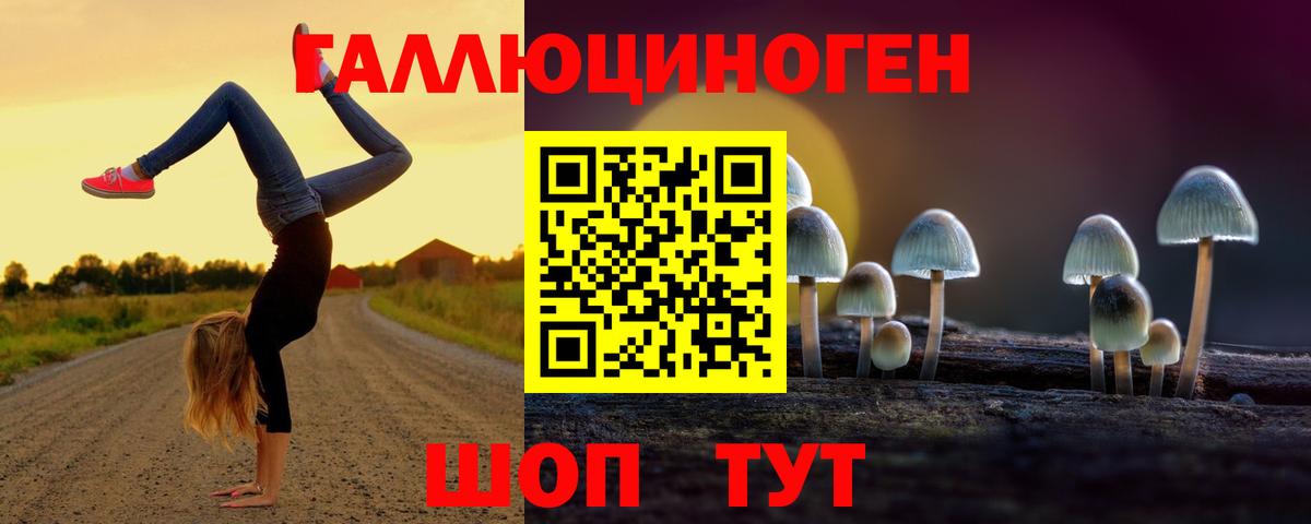 Галлюциногенные грибы Psilocybe Янаул